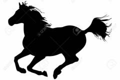 The gallop of the horse (silhouette)